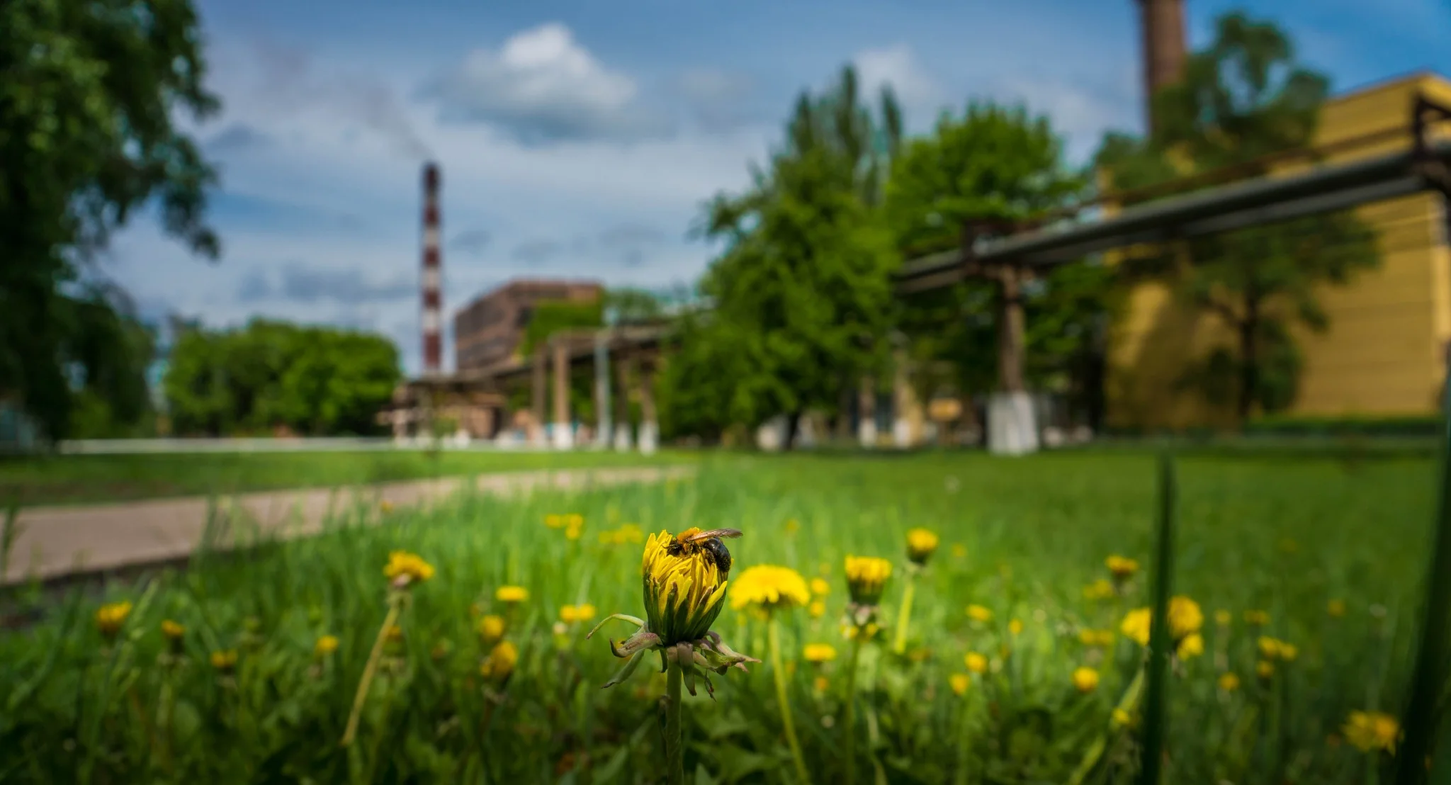 Biodiversity and landscaped grounds at PFK